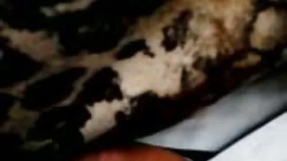 Le jour de la chatte libre, 7 bonnes bites pour la jeune Aragne