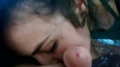 Coq géant de mon neveu me rend fou