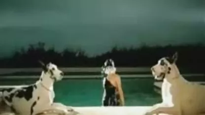 La petite amie de mon frère, un noir très sale ...